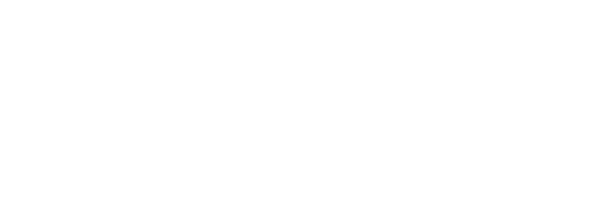 Logo Footer